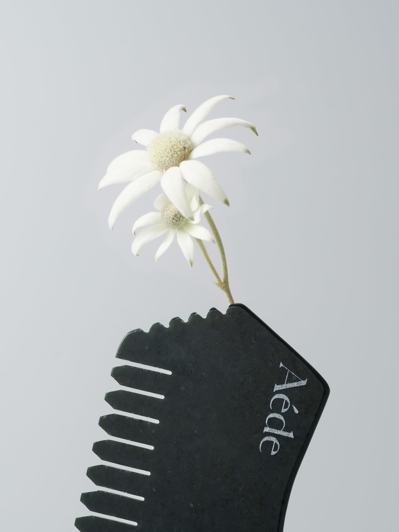 HARMONISE GUA SHA TOOL